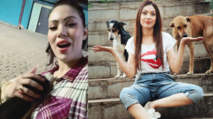 Oh So Cute: Taarak Mehta Ka Ooltah Chashmah’s Munmun Dutta aka Babita is an animal lover in real life