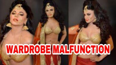 OMG: Bigg Boss 14 fame Rakhi Sawant suffers wardrobe malfunction in public, read details