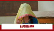 Choti Sarrdaarni Spoiler Alert: OMG!! Meher to be made captive again