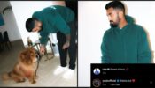 Pet Love: KL Rahul shares adorable photo with her pet dog ‘Simba’, Yuvraj Singh shares pro tips