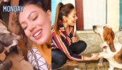 Pet Love: Taarak Mehta Ka Ooltah Chashmah’s Munmun Dutta aka Babita is a dog lover in real life & this video is proof