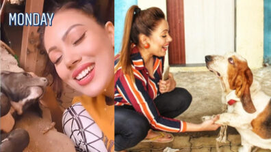 Pet Love: Taarak Mehta Ka Ooltah Chashmah’s Munmun Dutta aka Babita is a dog lover in real life & this video is proof