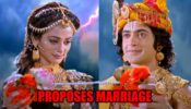 RadhaKrishn spoiler alert: Yamuna proposes marriage to Krishna