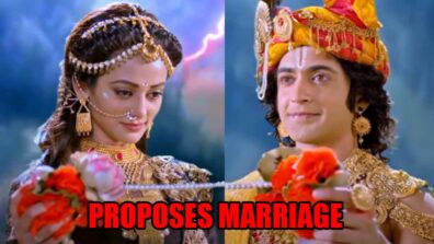 RadhaKrishn spoiler alert: Yamuna proposes marriage to Krishna