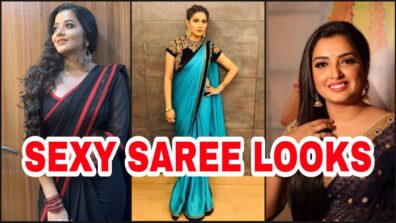 Sapna Choudhary VS Monalisa VS Aamrapali Dubey: Whose Ruffle Saree Look Inspires You More