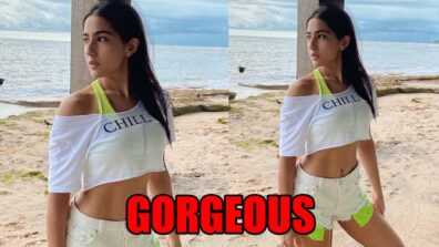 Sara Ali Khan looks gorgeous in latest beach pics