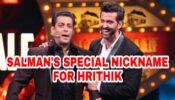 Secret Revealed: With What Nickname Does Salman Khan Call Hrithik Roshan?