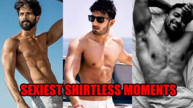 Shahid Kapoor, Ranveer Singh & Vicky Kaushal’s Attractive Shirtless Moments You Will Fall In Love With