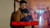 Shaurya Aur Anokhi Ki Kahani spoiler alert: Is Shaurya falling in love with Anokhi?