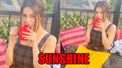 Shehnaaz Gill glows like a sunshine in latest picture, fans love it