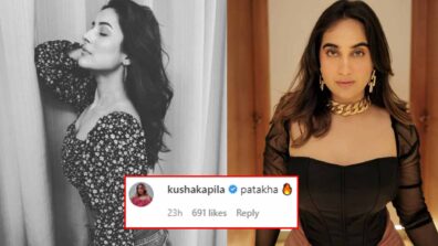 Shehnaaz Gill poses like a pro in latest bold picture, Kusha Kapila comments ‘patakha’