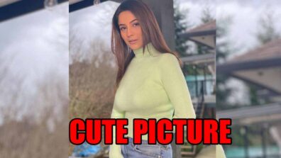 Shehnaaz Gill stuns in latest cute picture, fans melt in awe