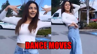 Shehnaaz Gill’s killer dance moves make fans go crazy