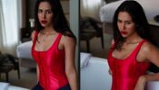 Sonam Bajwa Looks Spicy Hot In Red Corset, See Here