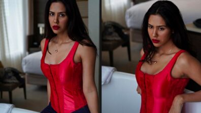 Sonam Bajwa Looks Spicy Hot In Red Corset, See Here