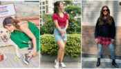 Stylish and fascinating Jennifer Winget, Hina Khan, and Niti Taylor have the best styles for a brunch date