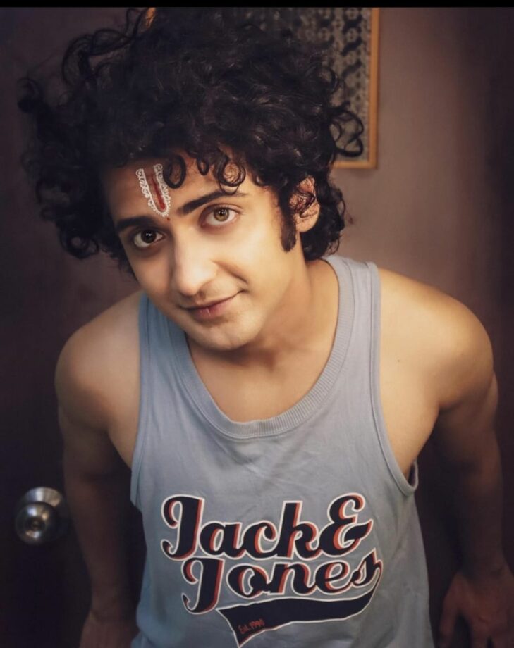 Sumedh Mudgalkar And Mallika Singh’s Combined Net Worth Will Shock You - 0