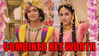 Sumedh Mudgalkar And Mallika Singh’s Combined Net Worth Will Shock You