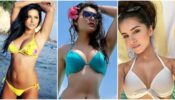 From Urvashi Rautela To Tara Sutaria’s Attractive Bikini Looks Which Are Fitness Goals