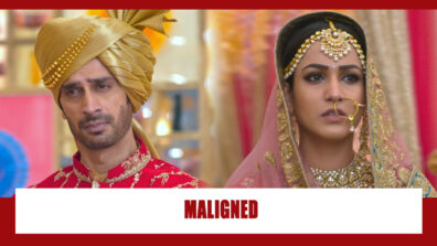 Teri Meri Ikk Jindri Spoiler Alert: OMG!! Pappu succeeds in maligning Mahi