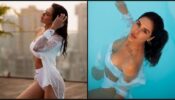 Times When Sonam Bajwa Showed Off Her Hotness In Bikini, Have A Look