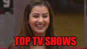 Top 3 TV Shows Of Shilpa Shinde You Loved The Most
