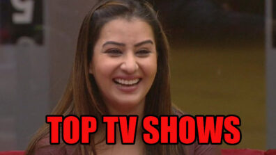 Top 3 TV Shows Of Shilpa Shinde You Loved The Most