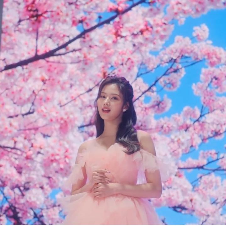 Twice’s Sana Looks Pretty Cute In Baby Pink Ruffled Gown, See Pictures - 2