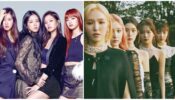 Blackpink VS Red Velvet: Which Group Has Taken Their Fans By Storm With Music?