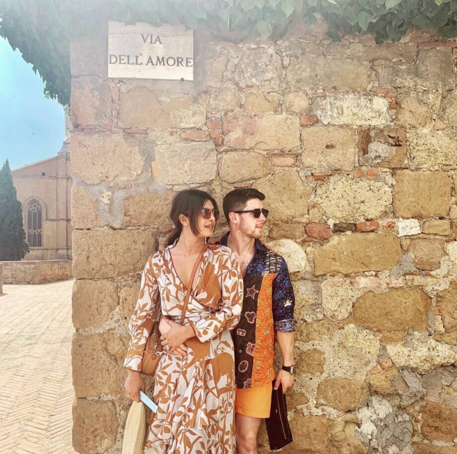 Want To Reveal Exotic Locations? Check Out Priyanka Chopra And Nick Jonas’s Travel Pictures - 3