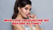 What Did Jacqueline Fernandez Do Before Becoming An Actress?