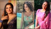Which Bhojpuri Actress You Think Is The Hottest? Amrapali Dubey Vs Monalisa Vs Rani Chatterjee