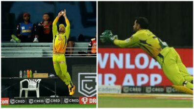 Throwback To IPL 2020: Best Catches Moments From Faf Du Plessis To Ms Dhoni