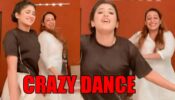 Yeh Rishta Kya Kehlata Hai actresses Shivangi Joshi and Ashita Dhawan’s crazy dance video goes viral