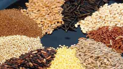 3 Healthy Whole Grains: Know Its Uses And Benefits