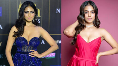 3 Times When Malavika Mohanan Showed Us How Effortlessly She Carried Her Elegant Looks