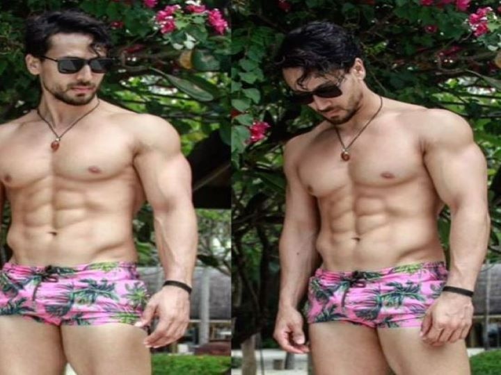 3 Times When Tiger Shroff Melts Netizens In His Shorts Look, See Them Here - 1