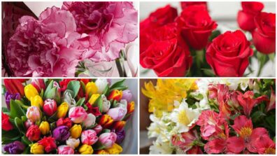 4 Types Of Beautiful Flowers By Which You Can Surprise Your Wife