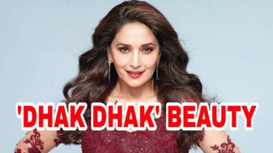 5 Times Madhuri Dixit Nene Proved That She Is The Ultimate Timeless Fashion Queen Of Bollywood