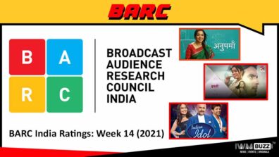 BARC India Ratings: Week 14 (2021); Anupamaa, Imli and Indian Idol are top 3