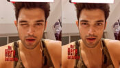 Aa Gaya Hero: Parth Samthaan works out at home, shares steamy candid video for fans