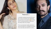 After Aamir Khan, Loveyatri actress Warina Hussain quits social media with a cryptic post