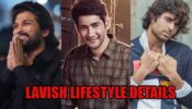 Allu Arjun, Vijay Devarakonda, Mahesh Babu: Lavish lifestyle details revealed