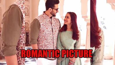 Aly Goni and Jasmin Bhasin’s romantic picture makes fans go aww