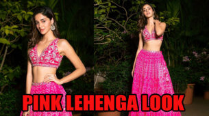 Ananya Panday Stole Millions Of Hearts In Her Pink Lehenga Choli, Have A Look
