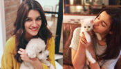 Animal Love: Alia Bhatt & Kriti Sanon’s cutest ‘pet pampering’ sessions that will make you go aww