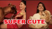 Animal Love: Samantha Akkineni pampers her pet dogs like an adorable mother, check out super cute video