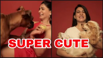 Animal Love: Samantha Akkineni pampers her pet dogs like an adorable mother, check out super cute video