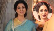 Apna Time Bhi Aayega’s Tannaz Irani finds inspiration in Sridevi
