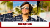Ashish Chanchlani And His Real Income Details